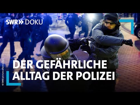 Video: Der Polizeibeamte mit PTBS geht eine sofortige Bindung mit seinem neuen Diensthund ein!