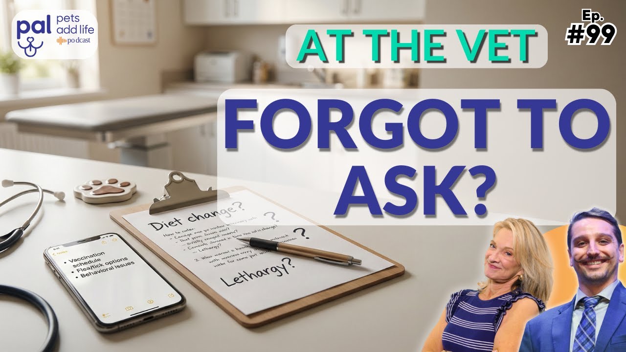 Избегайте одной распространенной ошибки, которую совершают владельцы домашних животных у ветерина...