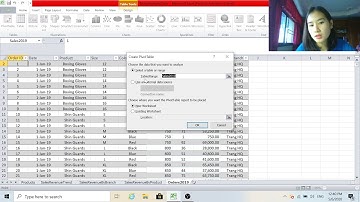 Pivot Table and Dashboard in MS Excel (Office 2010 )