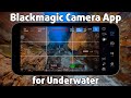 Why you need the blackmagic camera app for filming underwater 