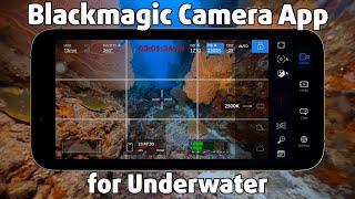 Why you NEED the BLACKMAGIC CAMERA APP for filming underwater 🔥