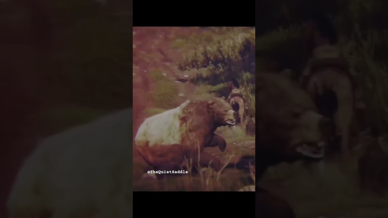 RDR2 | Always Trust Your Horse — A Close Call in the Wilderness 