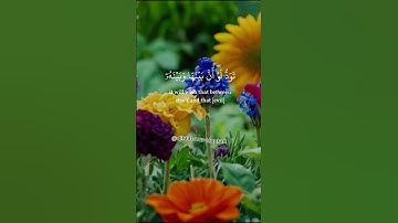 ماهر المعيقلي 🤎 يوم تجد كل نفس ما عملت من خير محضرا... {30}🤲 سورة آل عمران - Surah A-li'Imraan
