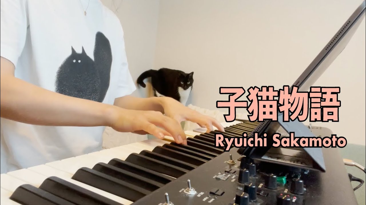 子猫物語 / Ryuichi Sakamoto #坂本龍一 Covered by #KanakoHara #はら