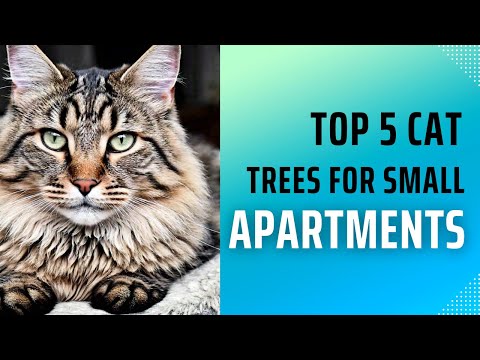 cat tree for small spaces
