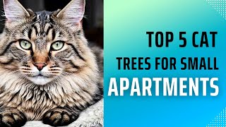 Top 5 Cat Trees for Small Apartments | Maximize Space for Your Feline Friends!