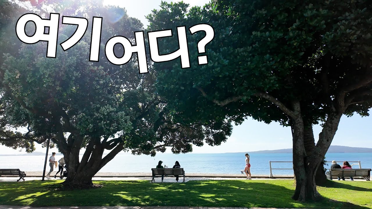 오클랜드 사랑스러운 동네~! 렌트집 주 $850 (70만원)