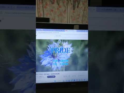 PRIDE（今井美樹）を歌ってみた　男