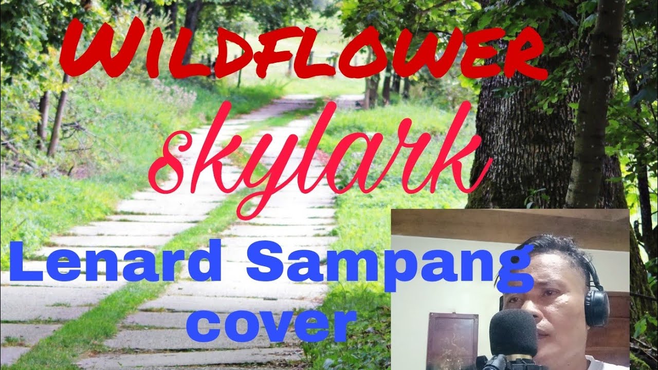 Wild Flower by Skylark Cover by Lenard Sampang YouTube