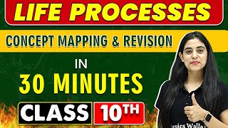 LIFE PROCESSES in 30 Minutes || Mind Map Series for Class 10th