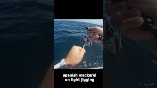 Spanish mackerels #shimano #fishing #jigging #stradic #sunline #lightjigging #short