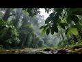 Dense Tropical Forest Rainfall, Healing White Noise, For Relaxation, Deep Sleep & Meditation