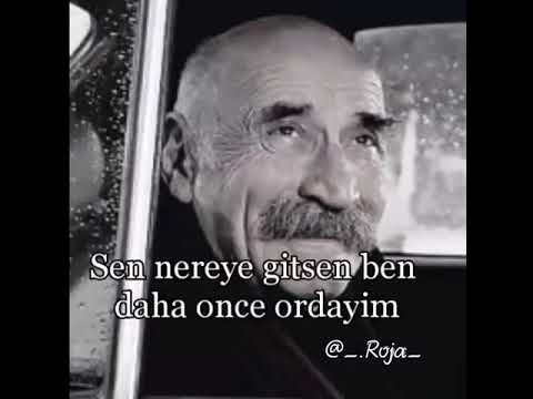 İnstagram üçün videolar