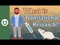 What is translational research