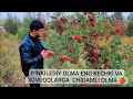 PİNKİLEDİY OLMA KŌCHATLARİ BOR ENG KECHGI OLMA MUROJAAT UCHUN TEL+998959515353+998908411161