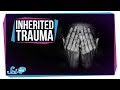Can Trauma Be Inherited?
