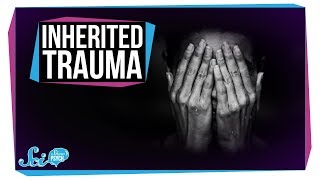 Can Trauma Be Inherited?