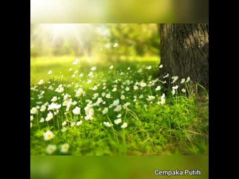 MIMI ASMIDA~KEIKHLASAN~