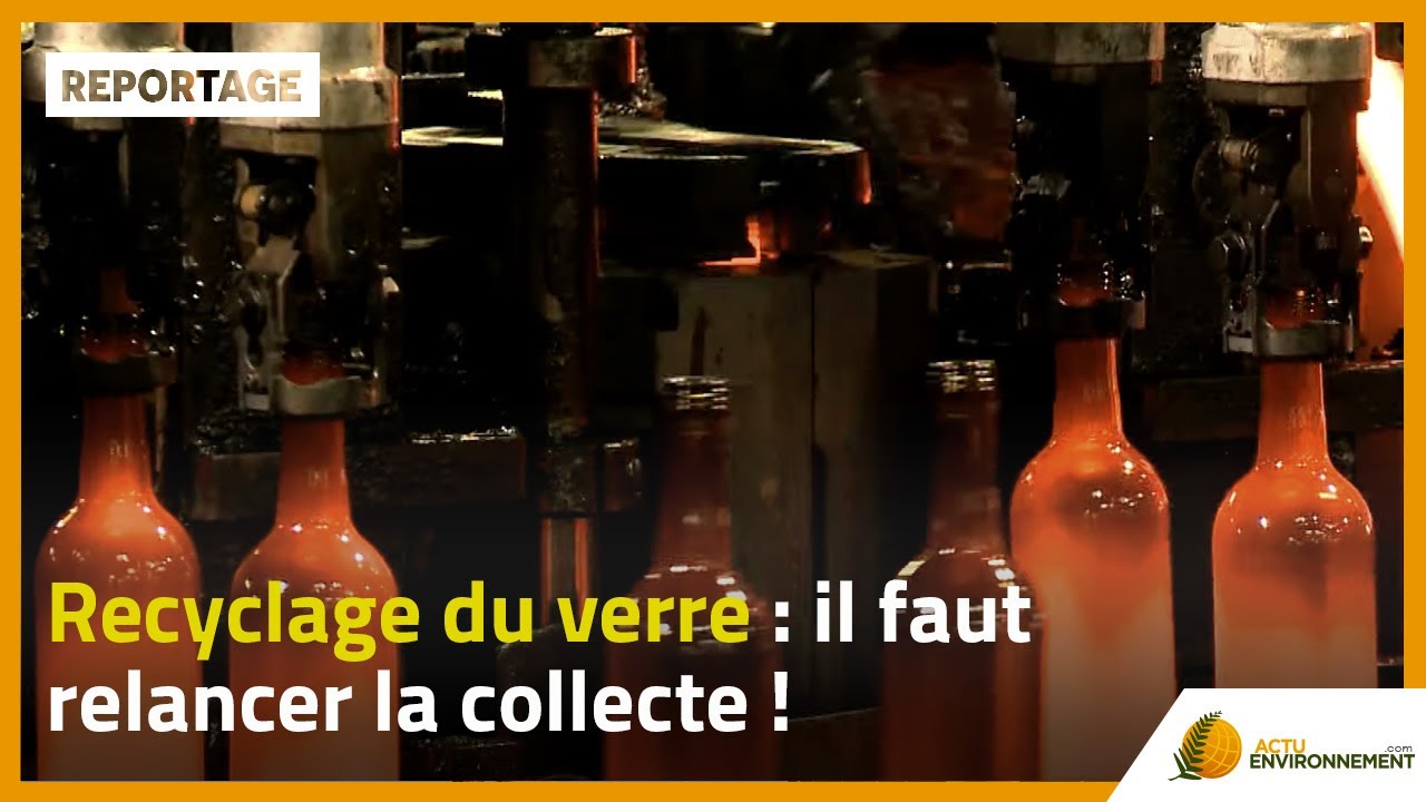 Recyclage du verre : il faut relancer la collecte !