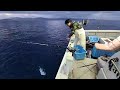 【スターリンクで配信】2026/5/13の中深海釣りライブ。おいしいものが当たる５月のビンゴカード抽選、応募受付中です！