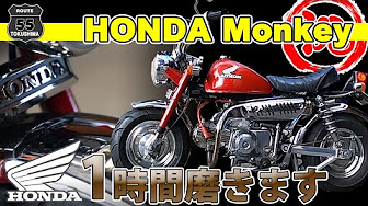 モンキー ゴリラ エイプ Youtube モンキー ゴリラ エイプ Youtube
