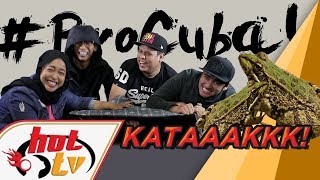 DownloadBro Cuba : Takut katak sampai terpelanting! MP3 MP4 Bro Cuba : Takut katak sampai terpelanting!