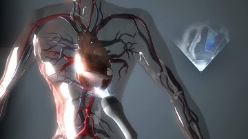 Modern cardiological diagnosis techniques (XXI Century Cardiology series)