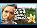 How is vanilla extract made? 🌸