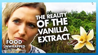 How is vanilla extract made?