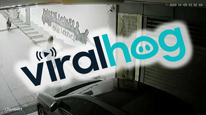 When Your Dog's Brakes Stop Working || ViralHog