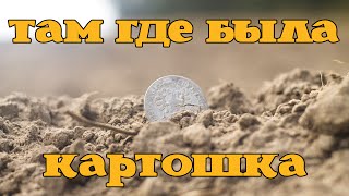 Поиск монет. ХОРОШИЙ УРОЖАЙ с картофельного поля [23.09.2015][Subtitles](Поиск монет, клада, по просторам родины... с металлоискателем Беркут 5. Search coins, treasure, in the vastness of the Motherland......, 2015-09-27T05:19:34.000Z)