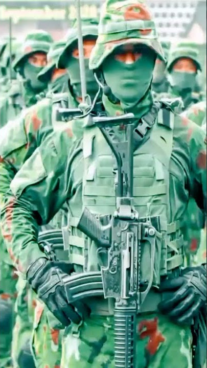tni Indonesia  DJ bale bale sinko