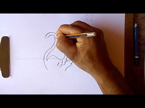 Vídeo: Como Desenhar Um Cisne