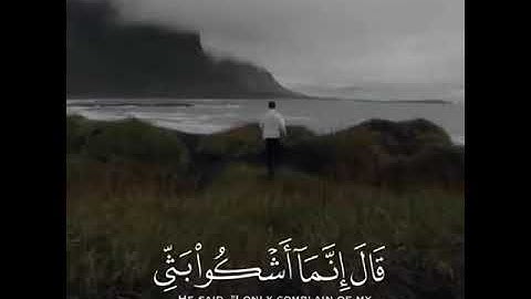 القارى رعد الكردي لسوره يوسف