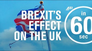 How will Brexit affect the UK? | IN 60 SECONDS