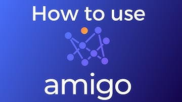 How to use Amigo Data || Product Demo