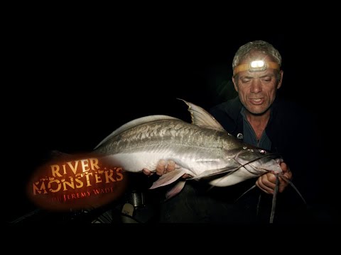 Hooking A Whiskery Barbado | SPECIAL EPISODE | River Monsters