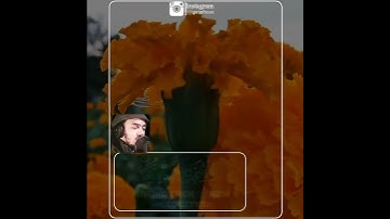 قران بصوت محمد هشام سورة يوسف -83