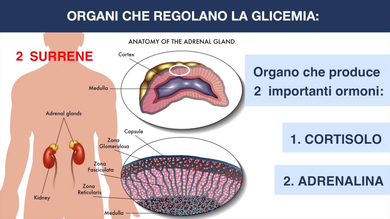 Relacion glicemia y cetosis