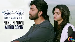 Nenjin Novil Audio Song | James and Alice| Prithviraj Sukumaran, Vedhika, Gopi Sundar | 