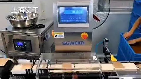 Automatic Plate Package Checkweigher Online Check Weighing Machine