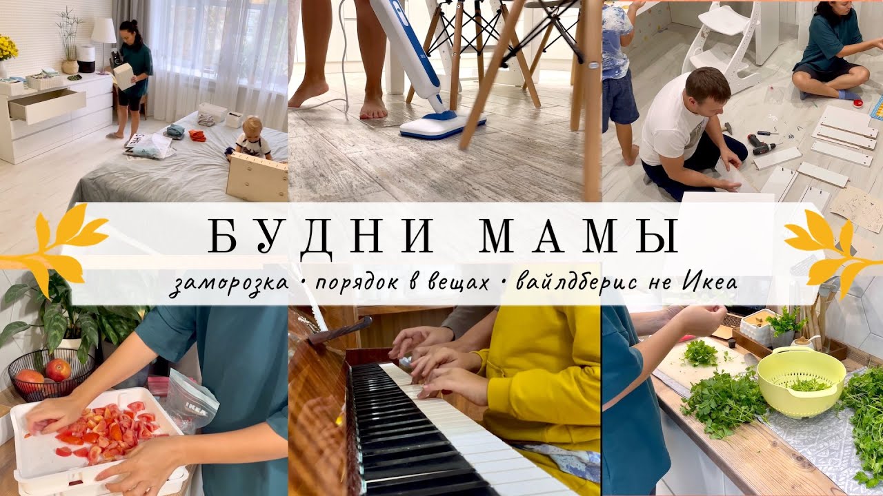 Таня о буднях дзен