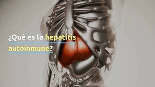 ¿Qué es la hepatitis autoinmune? / FundHepa