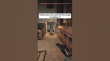 When you are used to the bugs in stalker 2