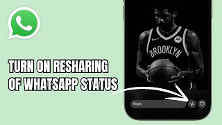 How to Turn On Resharing Of Your WhatsApp Status