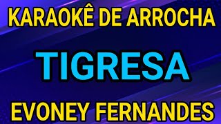 KARAOKÊ - TIGRESA - EVONEY FERNANDES