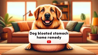 Fast and Effective Dog Bloated Stomach Home Remedy: Relieve Your Pet's Discomfort Naturally!