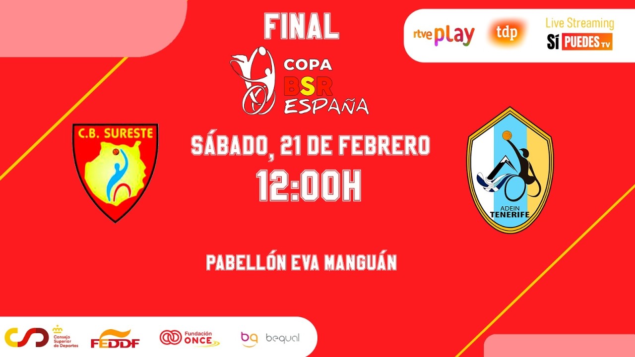 FINAL | III COPA BSR ESPAÑA