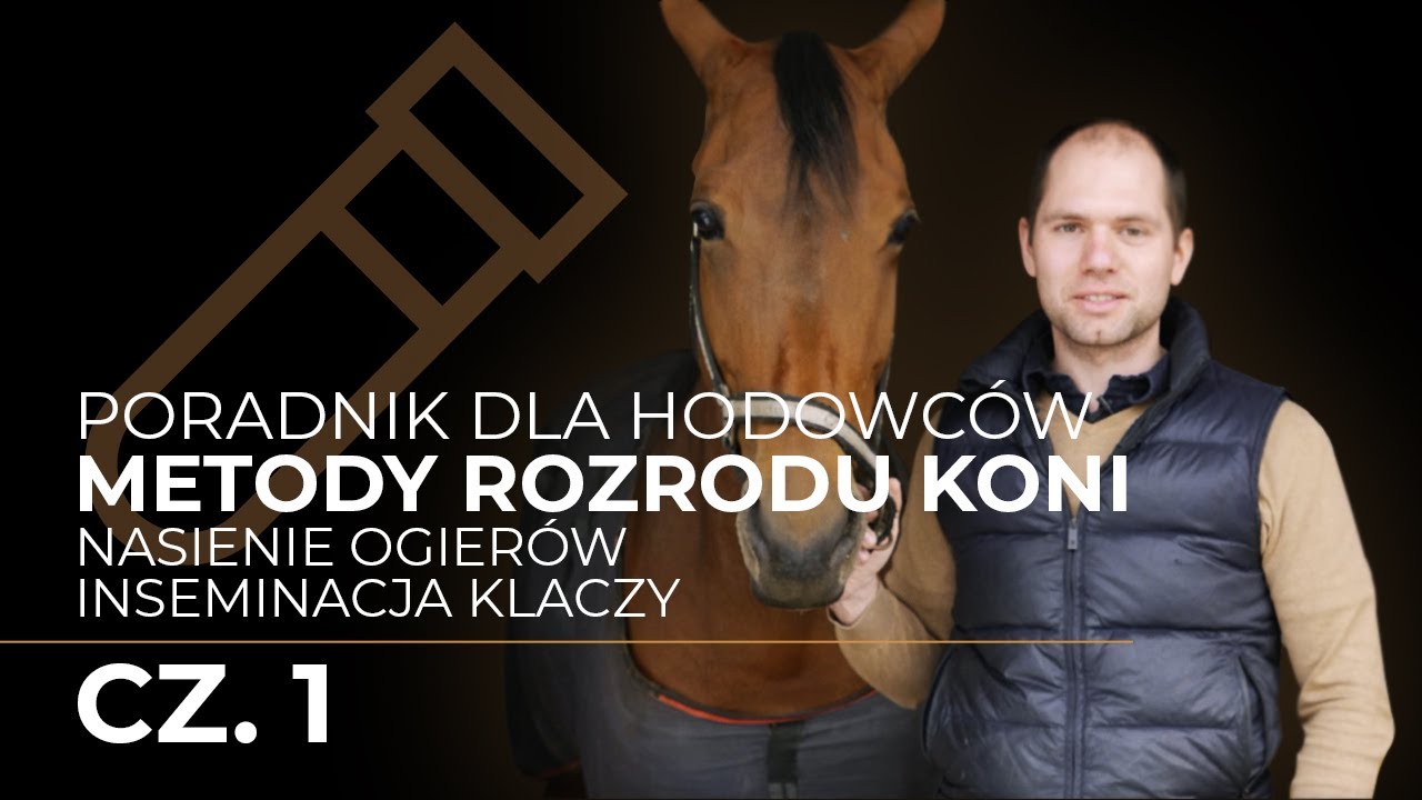 Metody rozrodu koni, nasienie ogierów, inseminacja klaczy - poradnik dla Hodowców cz.1