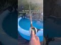 #fishing #bcfc #fish #baitcaster #abugarciareels #funny #memes #bassfishing #automobile #audio